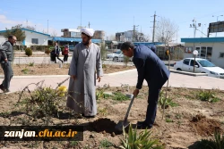 کاشت نهال بمناسبت گرامیداشت هفته منابع طبیعی و روز درختکاری 3