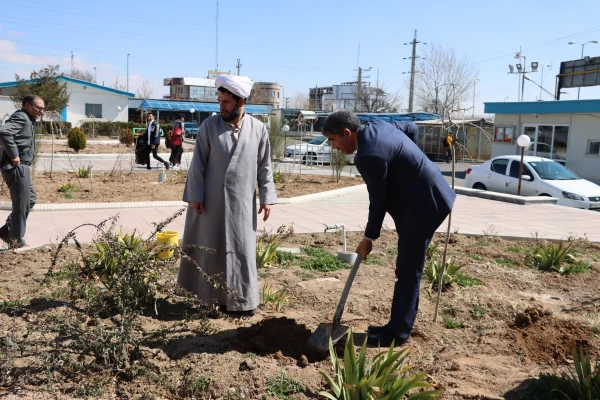 کاشت نهال بمناسبت گرامیداشت هفته منابع طبیعی و روز درختکاری 3