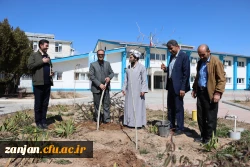 کاشت نهال بمناسبت گرامیداشت هفته منابع طبیعی و روز درختکاری 4