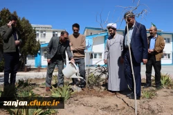 کاشت نهال بمناسبت گرامیداشت هفته منابع طبیعی و روز درختکاری 6