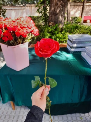 برپایی موکب پذیرایی به همت کانون مهدویت پردیس الزهرا(س)  به مناسبت عید باسعادت غدیر خم  2