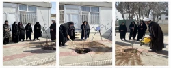 کاشت نهال در محوطه پردیس الزهرا(س) 2