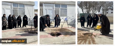 به مناسبت روز درختکاری انجام شد:

کاشت نهال در محوطه پردیس الزهرا(س)
