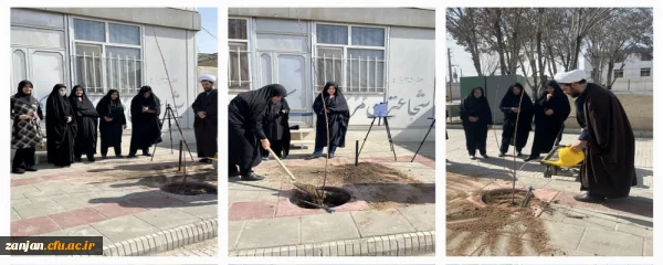 کاشت نهال در محوطه پردیس الزهرا(س) 2