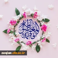 میلاد حضرت معصومه (س) مبارک باد. 2